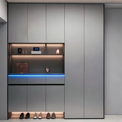 Tech{0}}luxe LED cipős szekrény